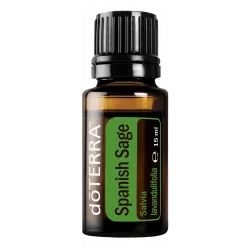 Spanish Sage Spanish Sage