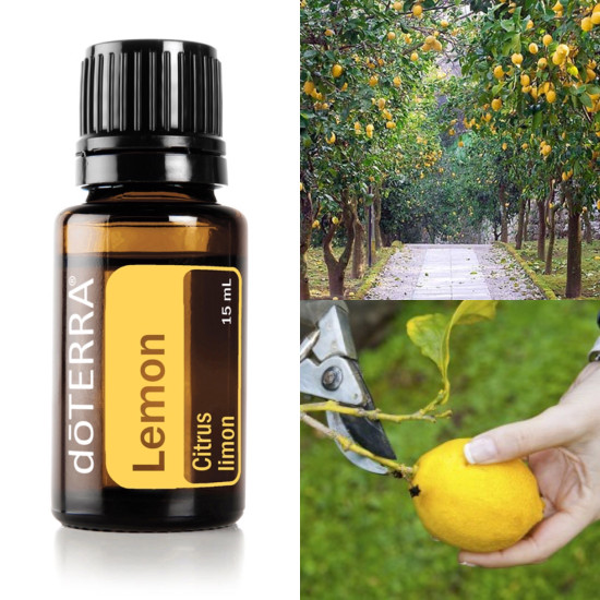 Lemon (citrón)
