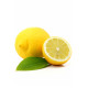 Lemon (citrón)