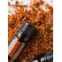 Arborvitae (Tuja)