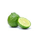 Bergamot Bergamot
