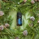 Fotografia produktu Blue Tancy od doTERRA, esenciálny olej