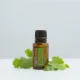 Cilantro (Koriander vňať) Cilantro (Koriander vňať)