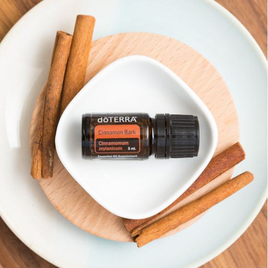 Cinnamon Bark (Škorica ceylónska) Cinnamon Bark (Škorica ceylónska)