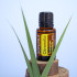 Citronella