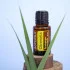 Citronella