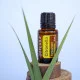 Citronella