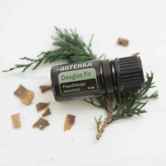 Douglas Fir (duglaska tisolistá)