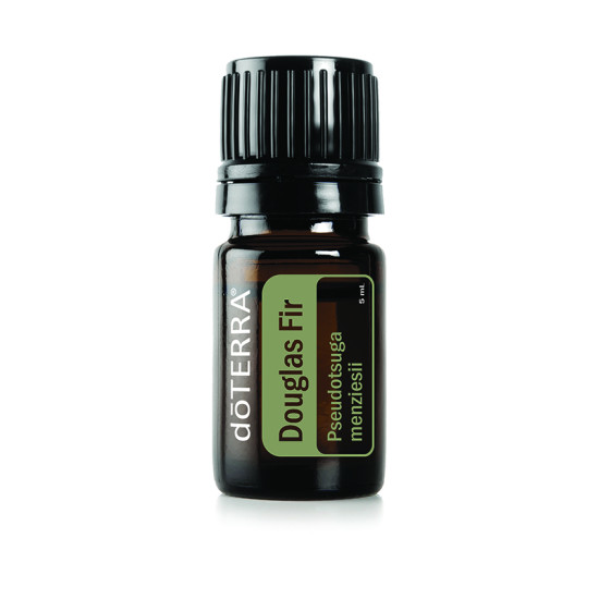 Douglas Fir (duglaska tisolistá)