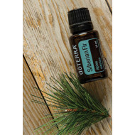 Siberian Fir Siberian Fir