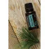 Siberian Fir