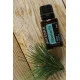 Siberian Fir Siberian Fir