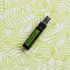 TerraShield™ Spray 30 ml (repelent)