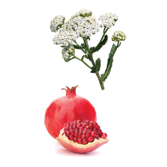 Yarrow|Pom 30ml Yarrow|Pom 30ml