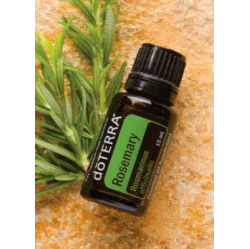 Rosemary (Rozmarín)