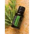 Rosemary (Rozmarín)