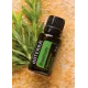 Rosemary (Rozmarín)