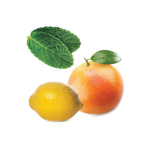 Smart & Sassy (metabolická zmes) Smart & Sassy (metabolická zmes)