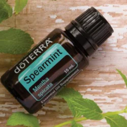 Spearmint (mäta klasnatá) Spearmint (mäta klasnatá)