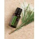 Tea Tree (Melaleuca)