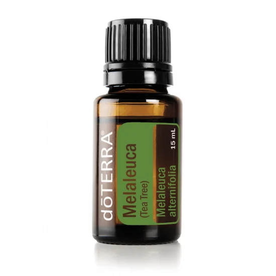 Tea Tree (Melaleuca)