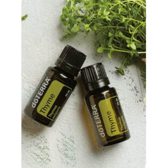 Thyme (Tymián) Thyme (Tymián)