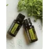Thyme (Tymián)