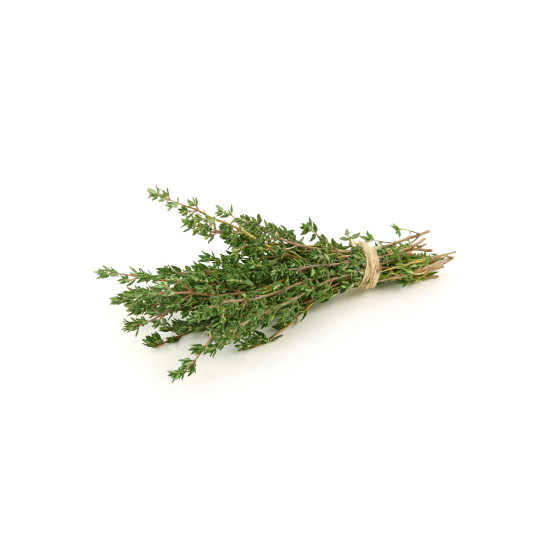 Thyme (Tymián) Thyme (Tymián)