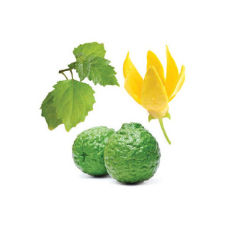 Whisper™ (ženský parfém) Whisper™ (ženský parfém)