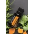 Zendocrine™ (detoxikačná zmes)