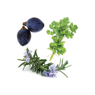 Zendocrine (detoxikačná zmes)