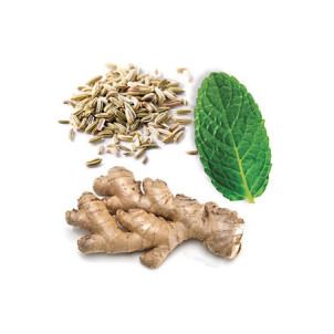 dōTERRA Touch™ ZenGest®